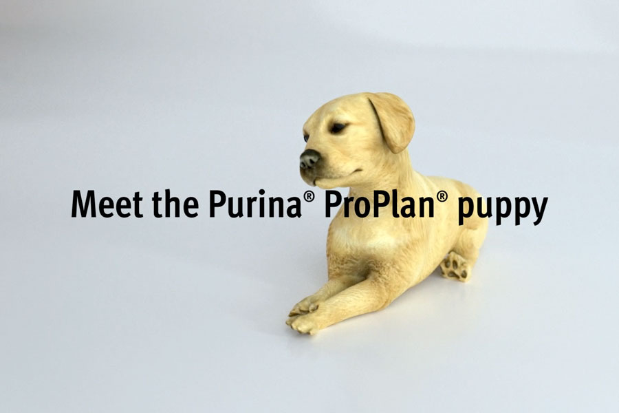 Purina® Pro Plan® – Crufts - 01